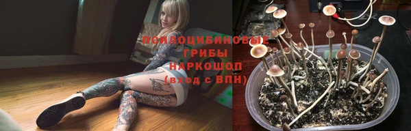 мдпв Корсаков