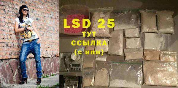 ПСИЛОЦИБИНОВЫЕ ГРИБЫ Коряжма