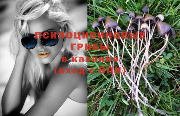ПСИЛОЦИБИНОВЫЕ ГРИБЫ Коряжма
