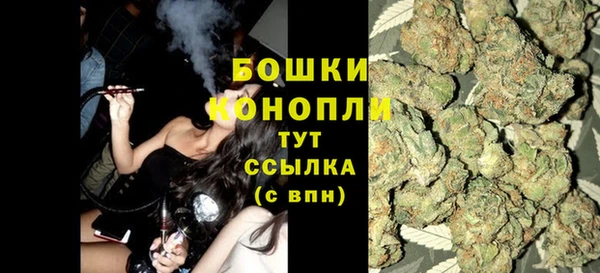ПСИЛОЦИБИНОВЫЕ ГРИБЫ Коряжма