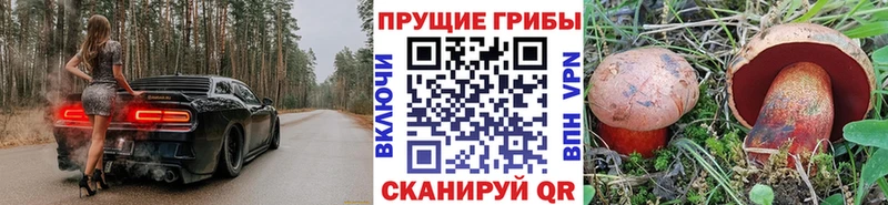 Купить  Долинск  Псилоцибиновые грибы Magic Shrooms 